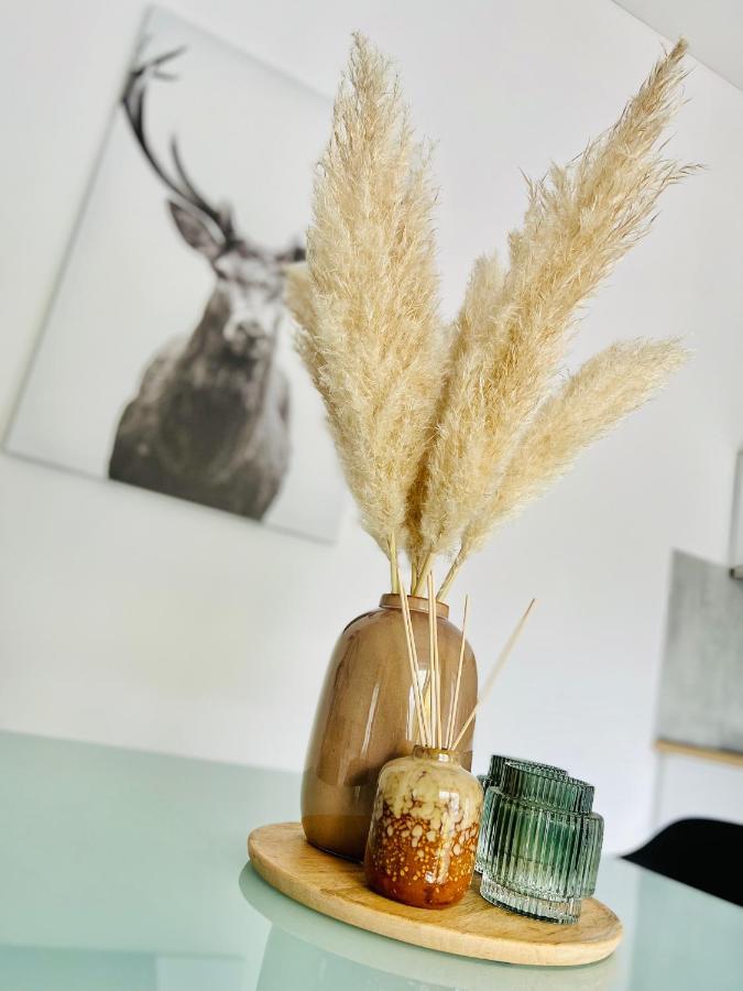 Apartmany Benesov Benesov nad Ploucnici ภายนอก รูปภาพ