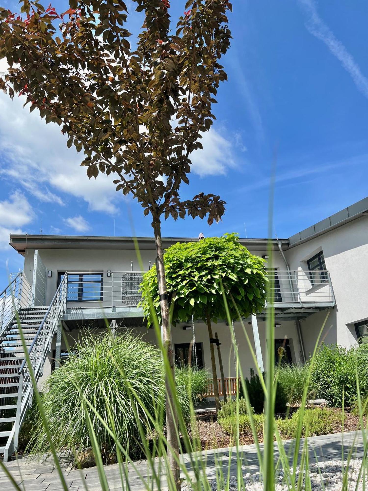 Apartmany Benesov Benesov nad Ploucnici ภายนอก รูปภาพ