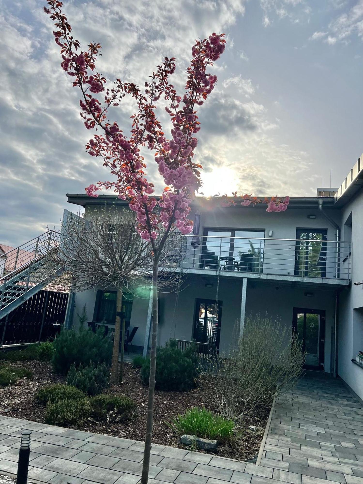 Apartmany Benesov Benesov nad Ploucnici ภายนอก รูปภาพ